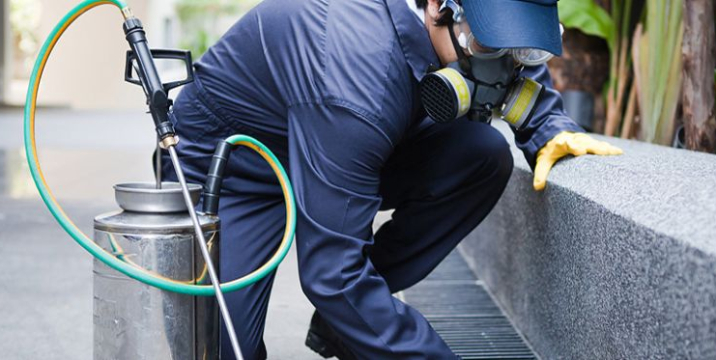 Pest controller spraying concrete